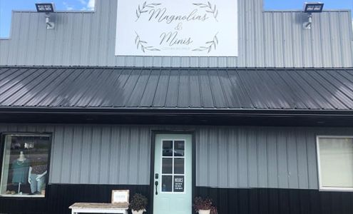 Magnolias & Minis Clothing Boutique