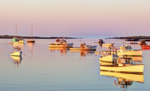 Megan's Amazing Adventures