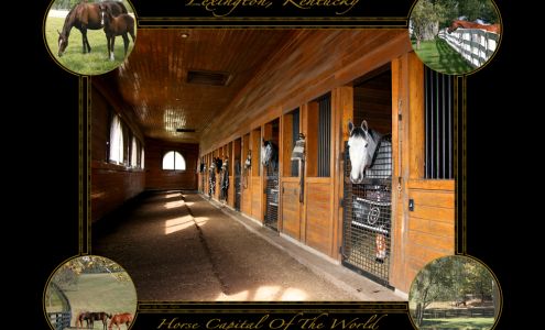 Price Maples Sr. Art & Framing