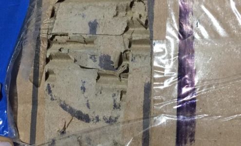 Alegra Brasil Gospel