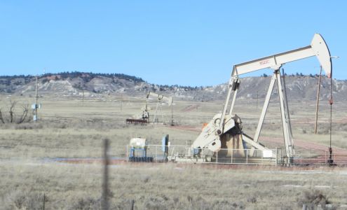 Fox Hill Corporation Rozet