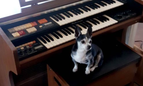 Shop-Connect Mont-joli