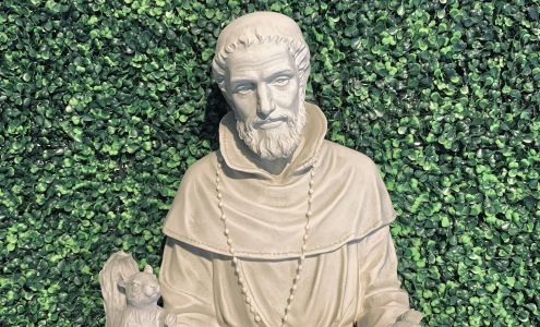 San Francisco Botanica & Boutique Pomona