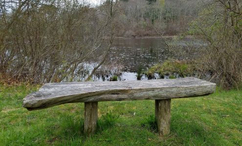 Nature Conservancy West Tisbury