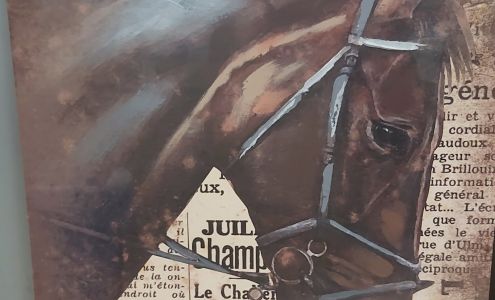 Bargain Shop The Marathon