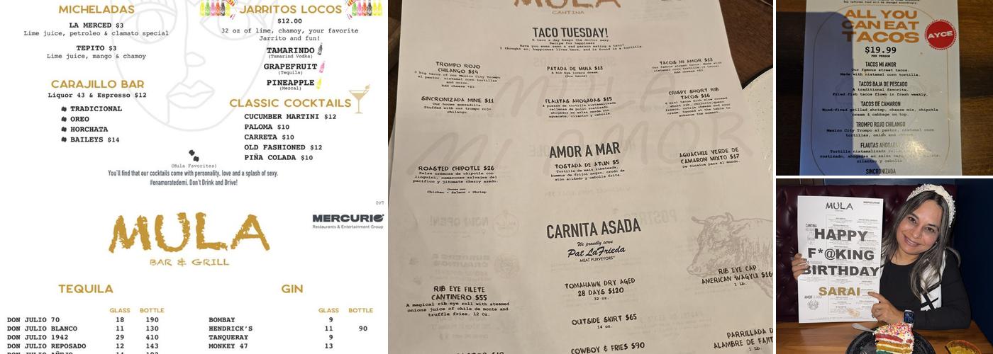 Mula Cantina Menu