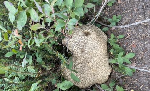 Beauty Boutique by Shoppers Drug Mart