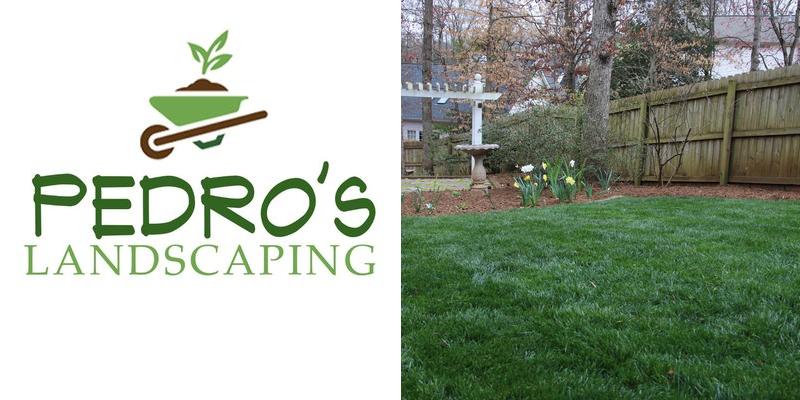 Pedro’s Landscaping