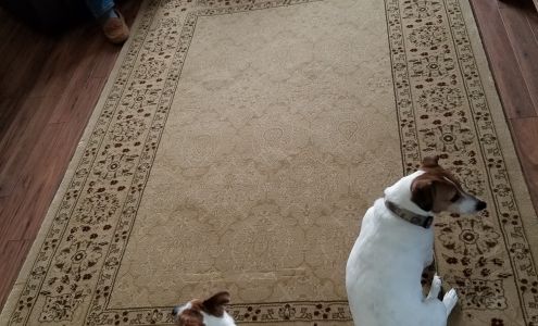 Lee's Carpet Warehouse Ltd 613 Gordon St, Moosomin Saskatchewan S0G 3N0