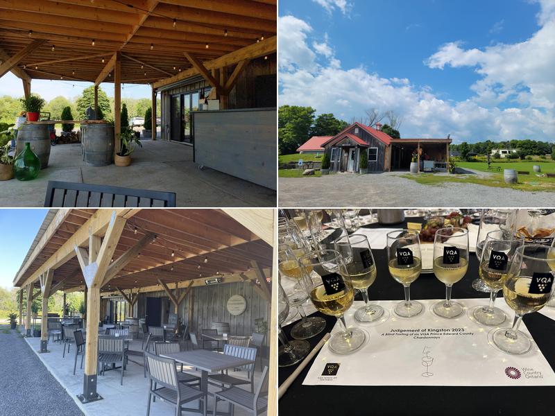 Redtail Vineyards 422 Partridge Hollow Rd, Consecon
