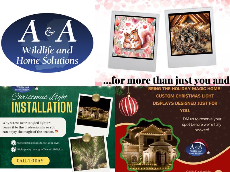 A & A Wildlife and Home Solutions