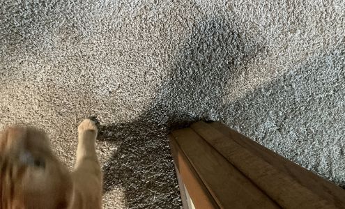 Enchanted Floorist LLC