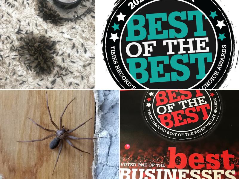 Elite Pest & Termite Inc.