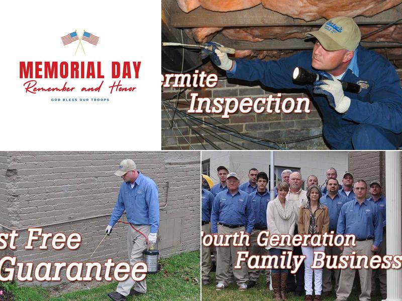 Curry's Termite & Pest Control