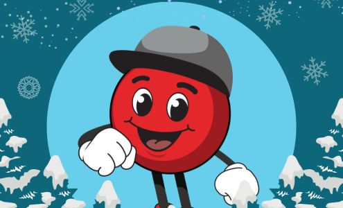 The Bargain Shop Wynyard