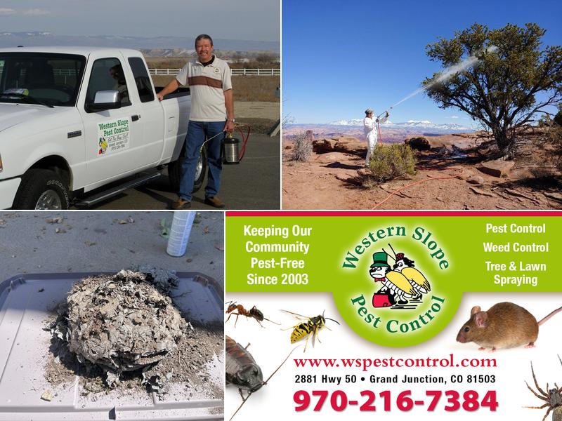 Western Slope Pest Control