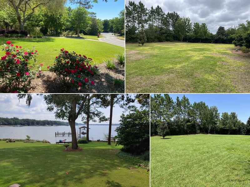 Phillips Turf Science