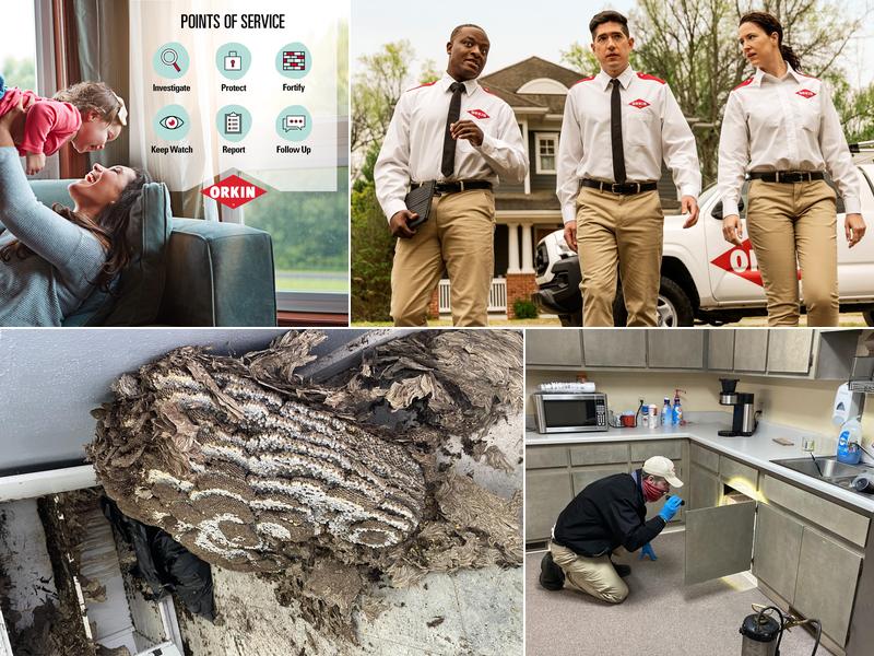Orkin