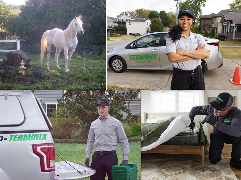 Terminix