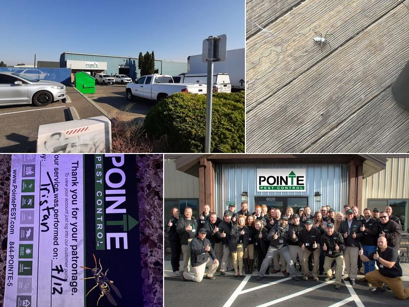 Pointe Pest Control