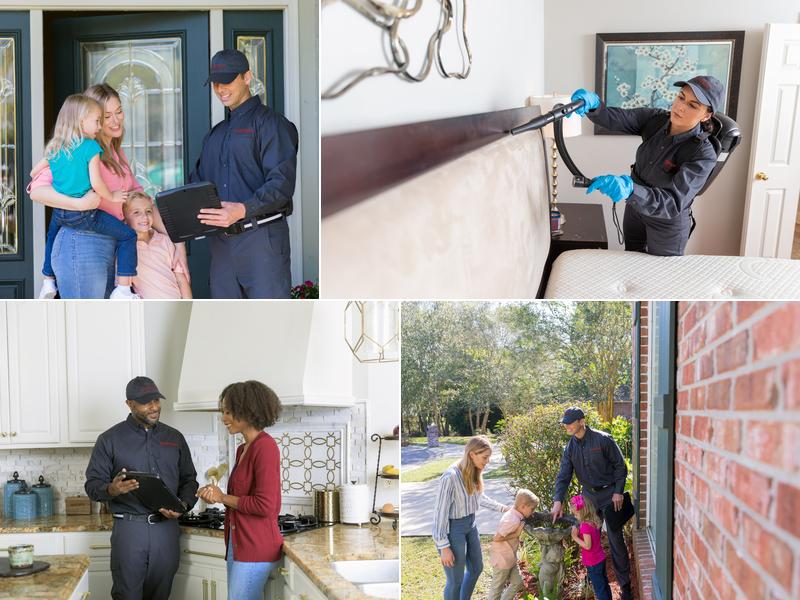 Anderson Pest Solutions