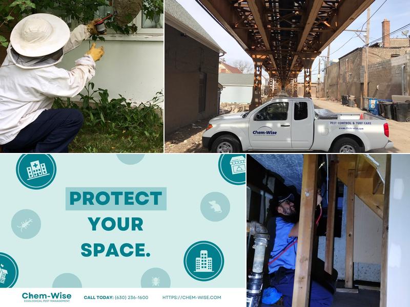 Chem-Wise Pest Management