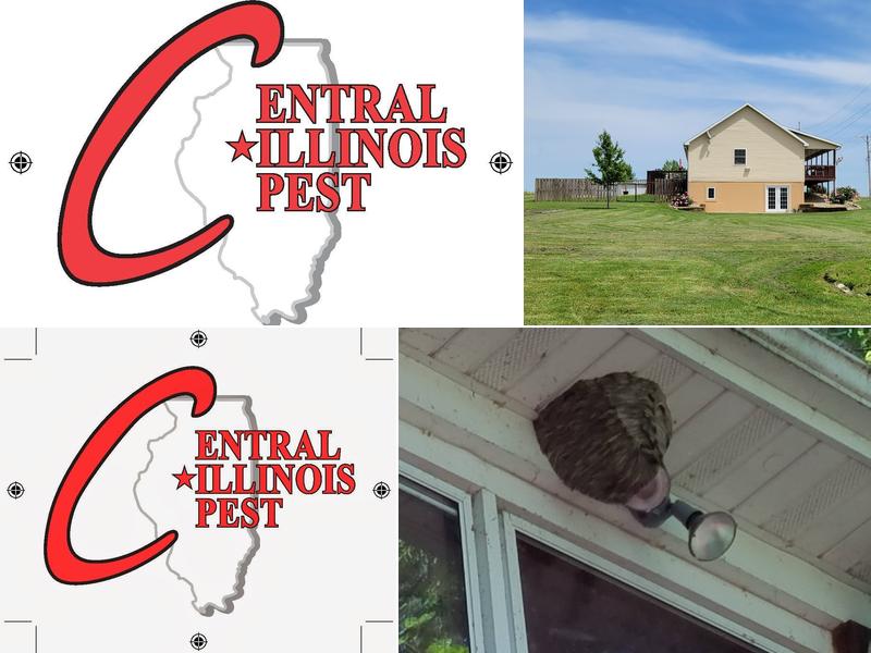 Central Illinois Pest Management