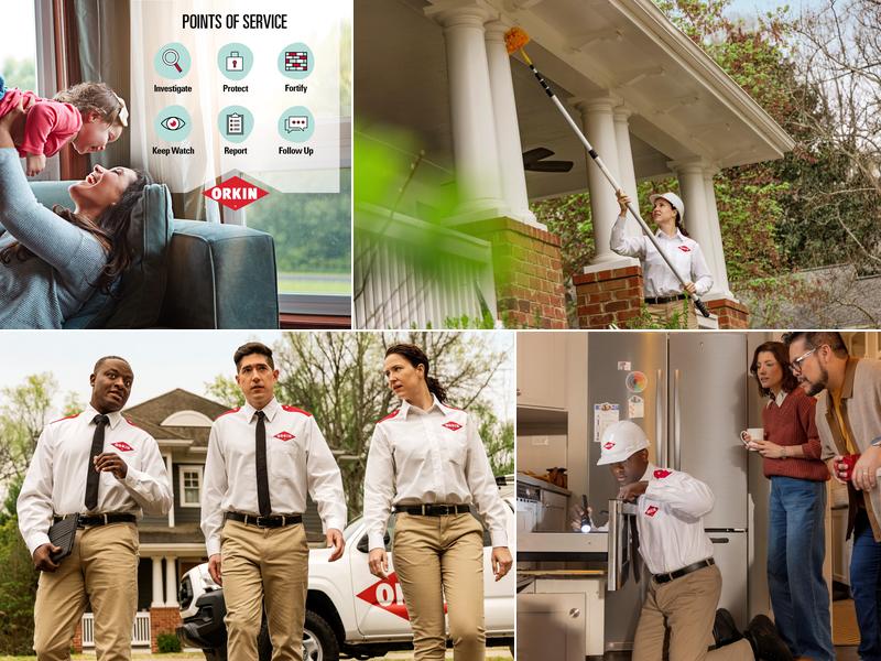 Orkin