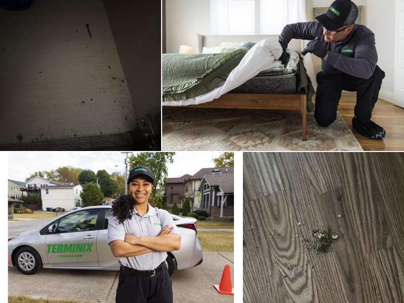Terminix
