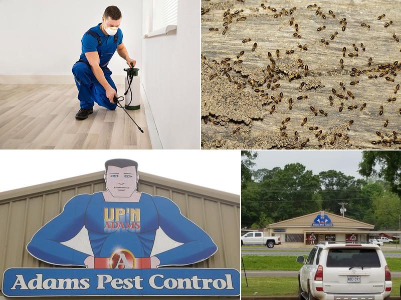 Adams Pest Control
