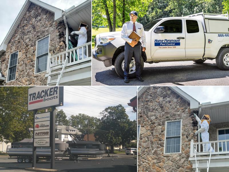 Home Paramount Pest Control