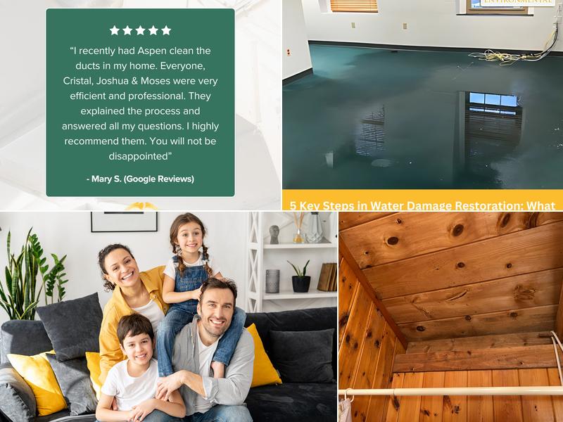 Aspen Environmental, LLC