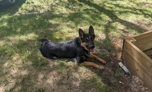 Madd Hatter Critters Sand Lake