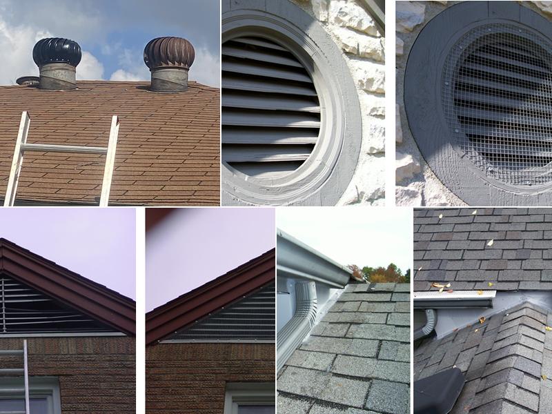 Critter Control of Columbus