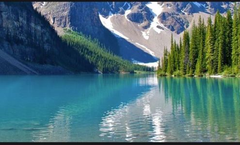 Alliance Pest Protection 12682 Dorff Beach Rd, Audubon Minnesota 56511