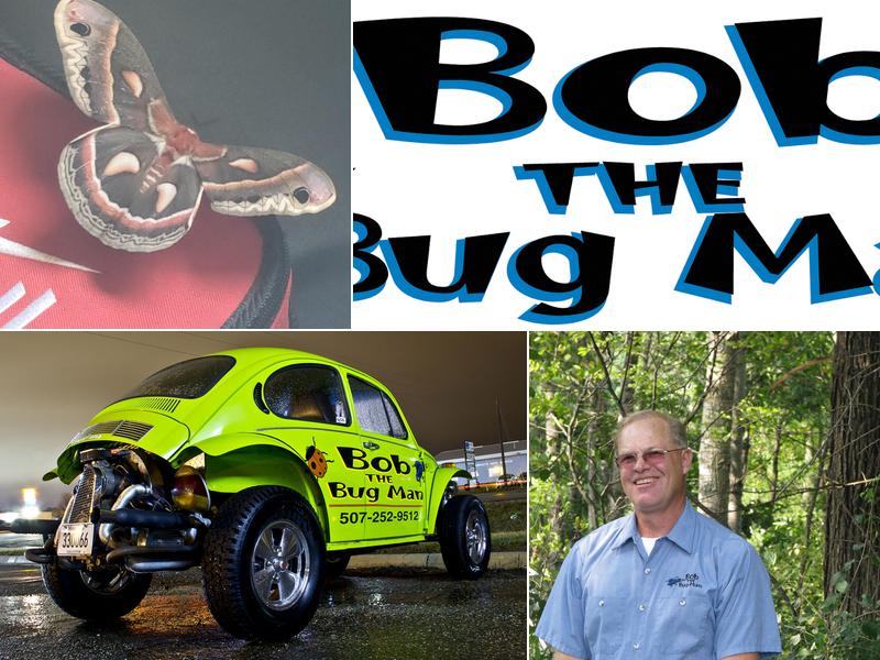 Bob The Bug Man