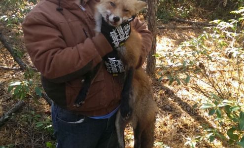 Brown's Integrated Pest Management LLC 26 Burns Rd, Millville New Jersey 08332