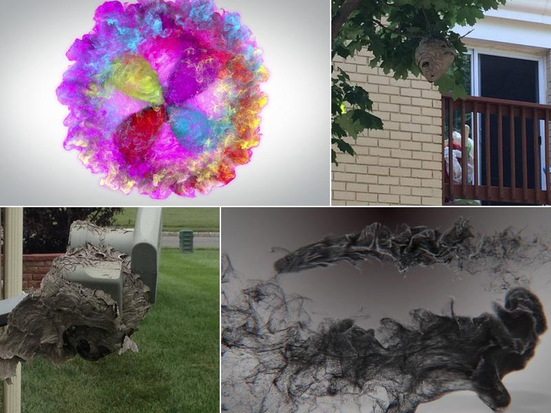 Essence Pest Control