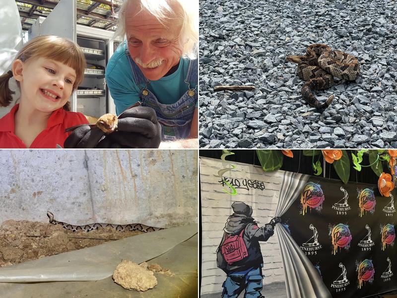 Batman Wildlife and Chimney Sweep