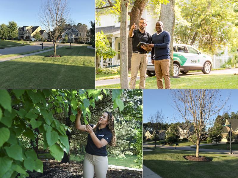 The Davey Tree Expert Company