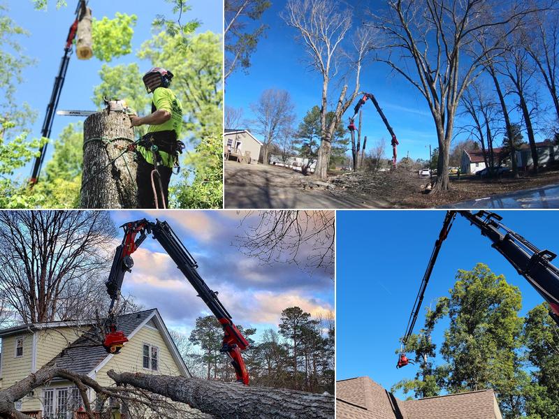 CS Tree Services Inc