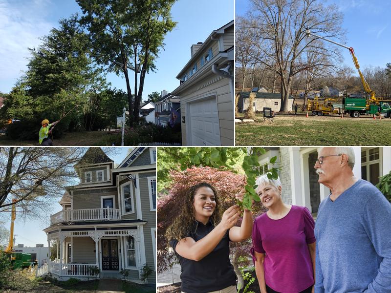 The Davey Tree Expert Company