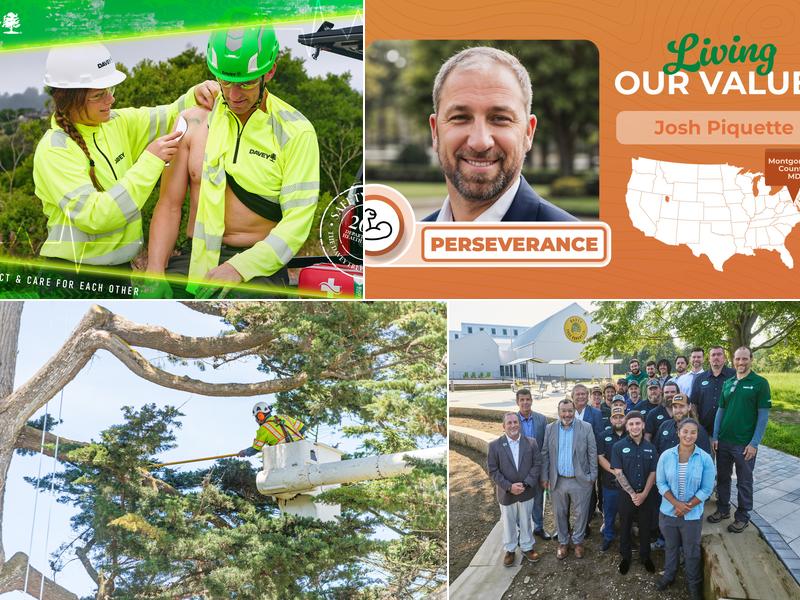 The Davey Tree Expert Company