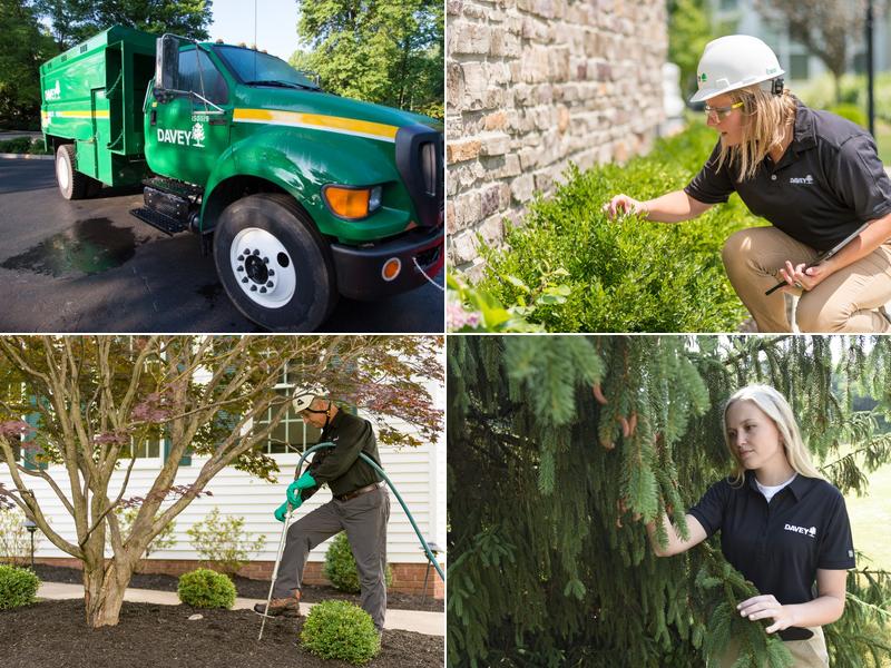 The Davey Tree Expert Company