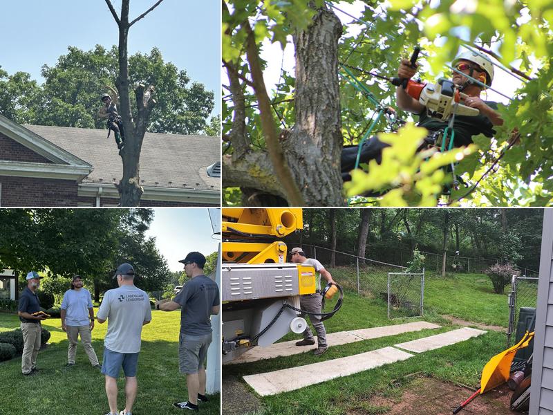 Good's Tree and Lawn Care