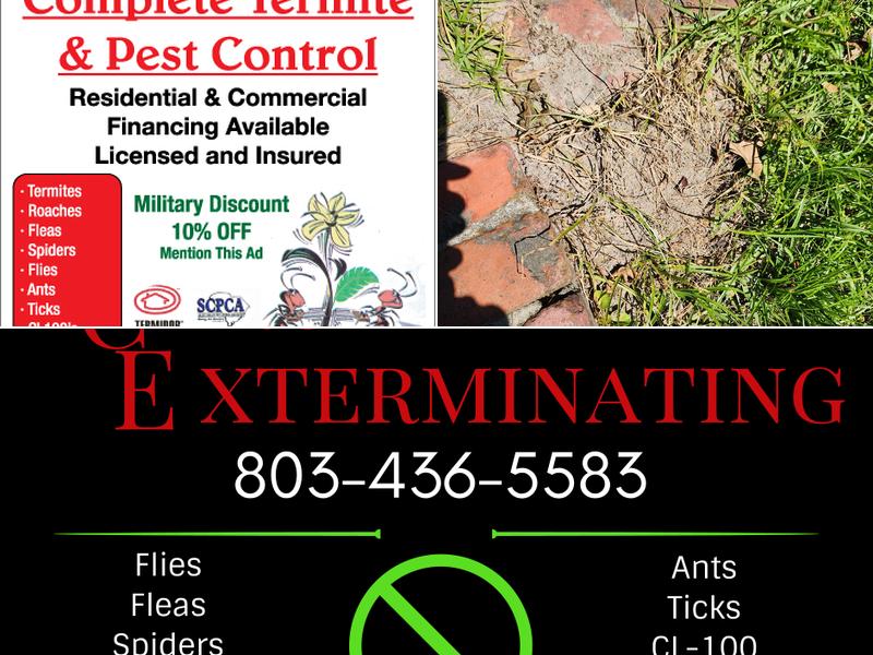 Mid Carolina Exterminating