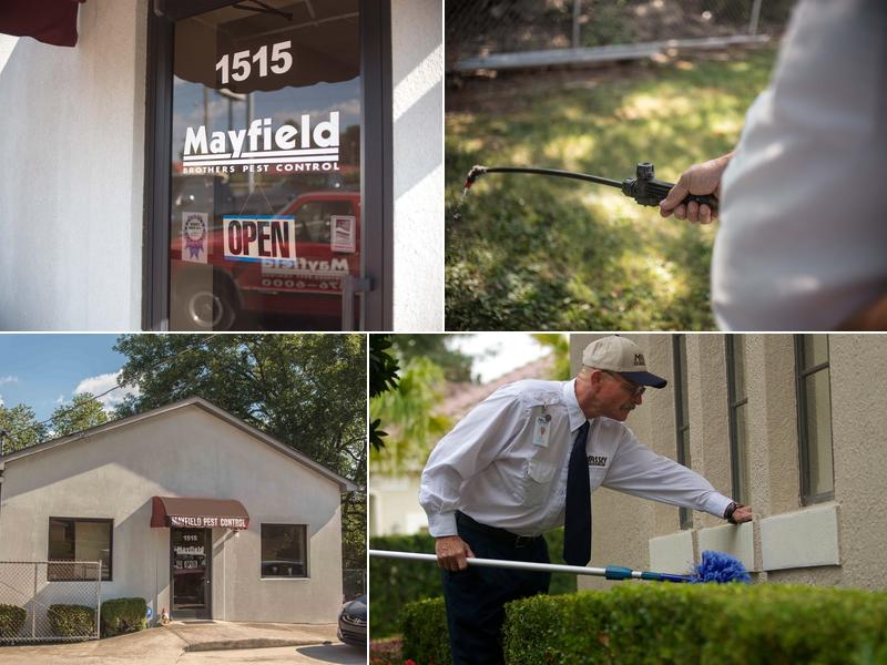 Massey Services Pest Control