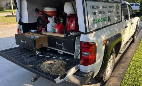 Bee'n Green 11041 Shadow Creek Pkwy, Pearland Texas 77584