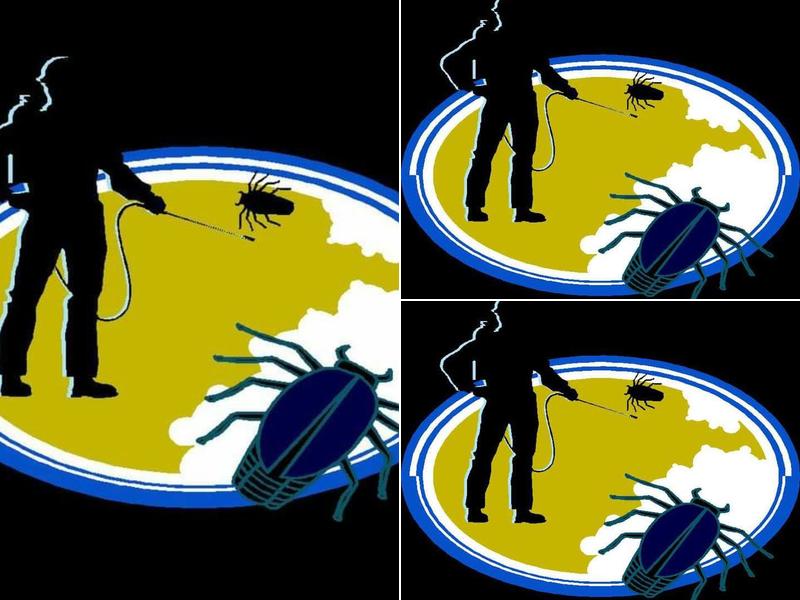 Elite Termite & Pest Control