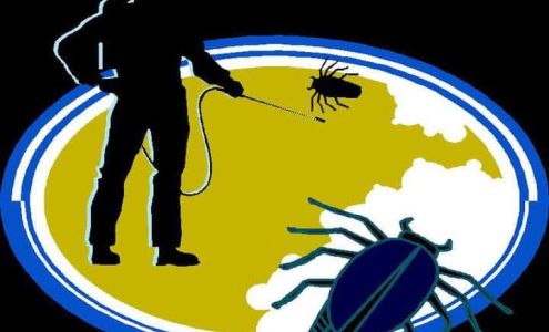 Elite Termite & Pest Control